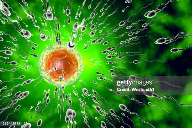 insemination, 3d rendering - drug development process stock illustrations