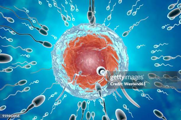 bildbanksillustrationer, clip art samt tecknat material och ikoner med insemination, 3d rendering - manlig form