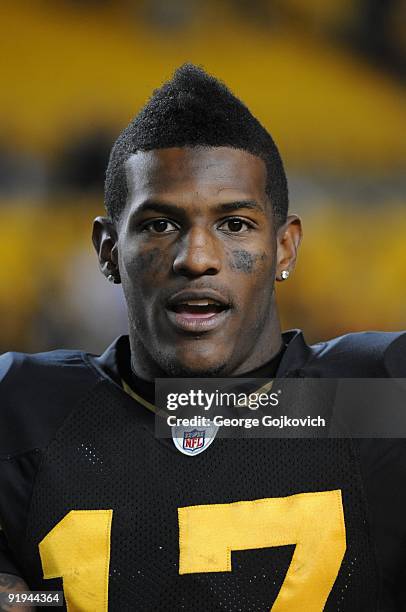 Wide receiver Mike Wallace of the Pittsburgh Steelers looks on from the field after a game against the San Diego Chargers at Heinz Field on October...