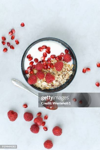 bowl of fruit muesli with raspberries and pomegranate seed - breakfast cereal fotografías e imágenes de stock