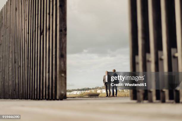 two businessmen standing on jetty at a lake talking - father son business europe stock-fotos und bilder