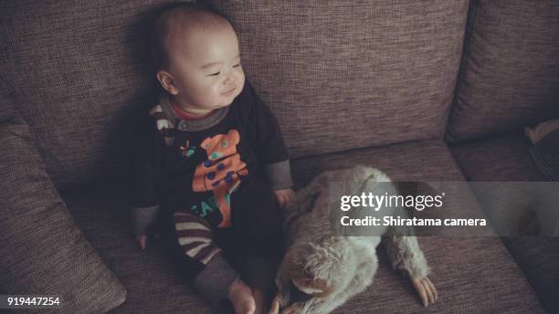 baby is playing with a stuffed animal - shiratama camera stock-fotos und bilder