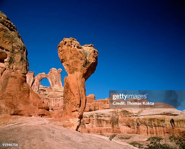 canyonlands national park, angel arch and molar, utah, usa - molar stockfoto's en -beelden