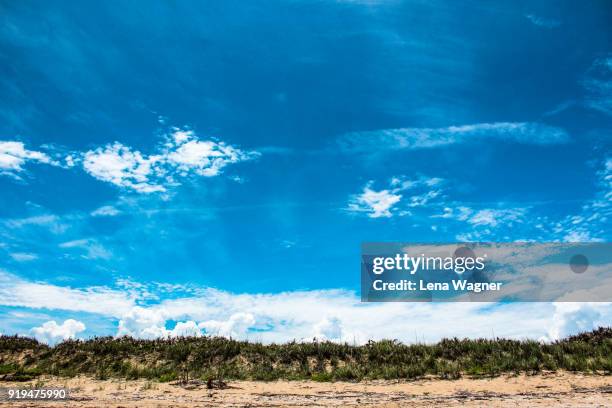 dramatic blue sky over beach dune - ニュースムーナ・ビーチ ストックフォトと画像