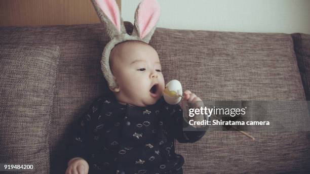 easterbunny baby - shiratama camera stock-fotos und bilder