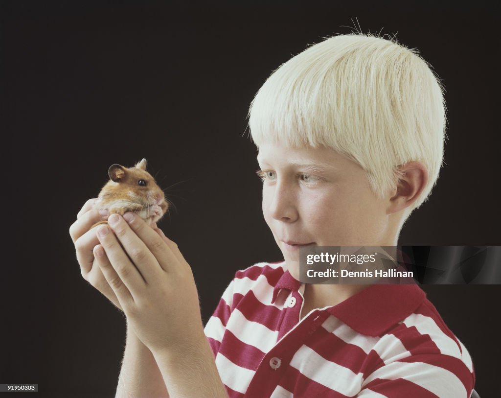 Small boy holding pet gerbil