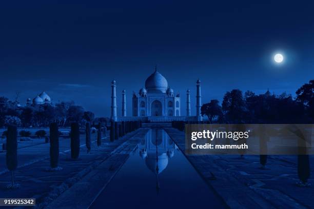 taj mahal en agra, india a la luz de la luna llena - agra fotografías e imágenes de stock