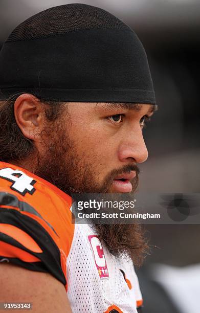 Domata Peko of the Cincinnati Bengals watches the action against the Cleveland Browns at Cleveland Browns Stadium on October 4, 2009 in Cleveland,...