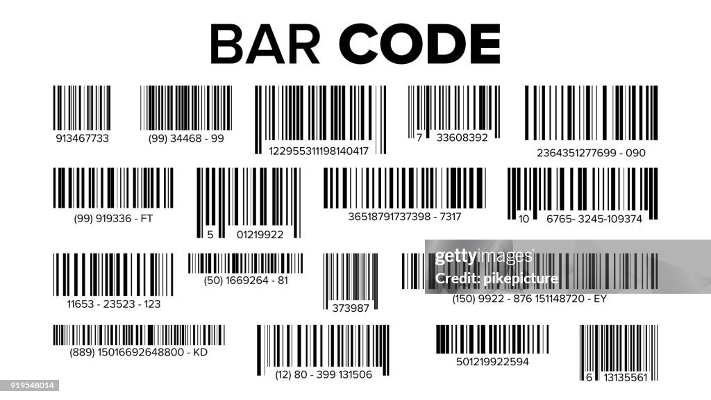 Labeled Bar Code Bar Code Set Vector Universal Product Scan Code Isolated Illustration ...