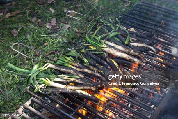 calçots being grilled over a hot fire in barcelona - calçots stockfoto's en -beelden