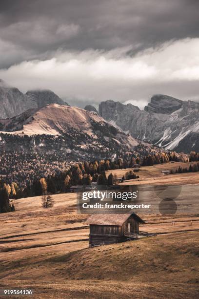 vista altoatesina con alpi sullo sfondo - trolese foto e immagini stock