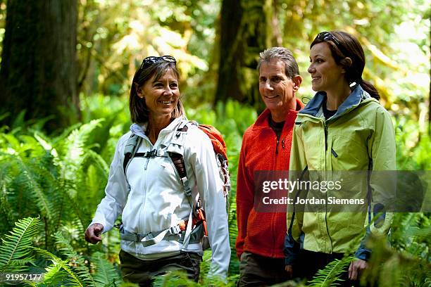 three hikers walk a trail leading through a forest of green ferns, thick moss and large trees. - lago crescent fotografías e imágenes de stock