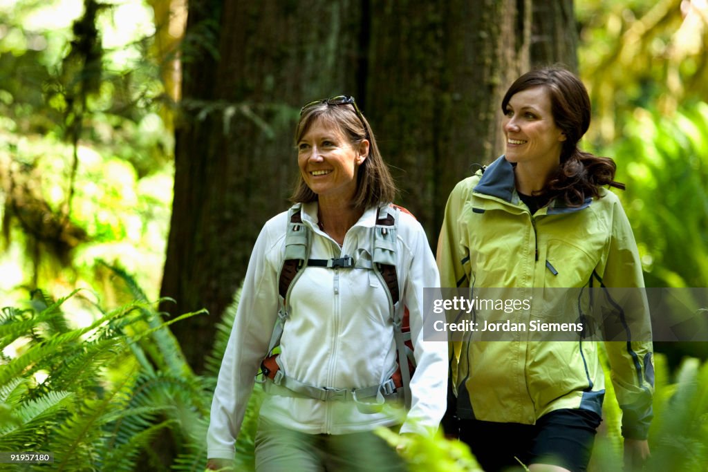Two hikers walk a trail leading through a forest of green ferns, thick moss and large trees.