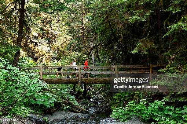 three hikers on a wooden bridge leading across a small stream in a forest. - olympic national park stock pictures, royalty-free photos & images