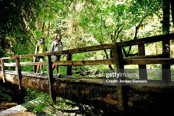 two hikers on a wooden bridge leading across a small stream in the middle of lush forest. - lago crescent foto e immagini stock