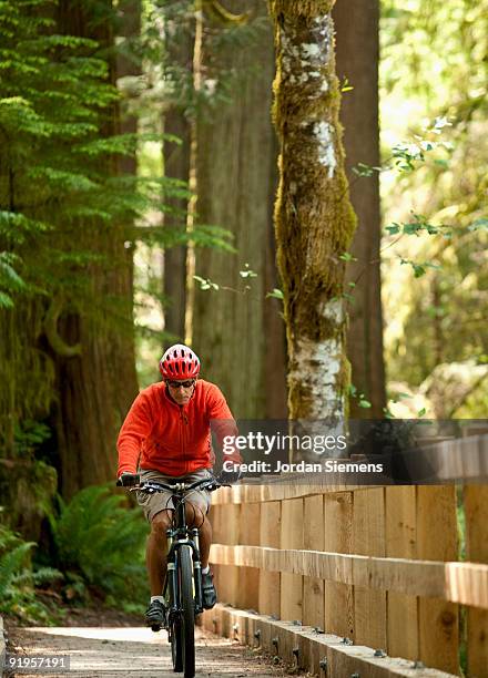 a single mountain biker riding across a wooden bridge in a forest. - lago crescent fotografías e imágenes de stock