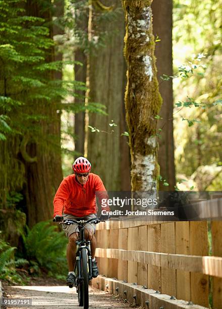 a single mountain biker riding across a wooden bridge in a forest. - lago crescent foto e immagini stock