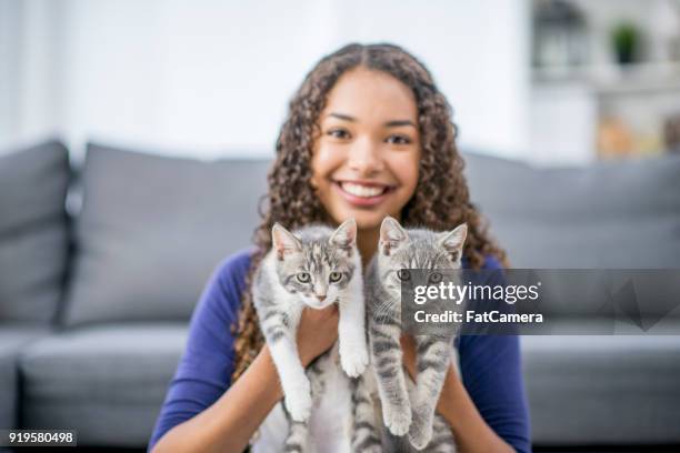 teen with two kittens - animal rescue stock pictures, royalty-free photos & images