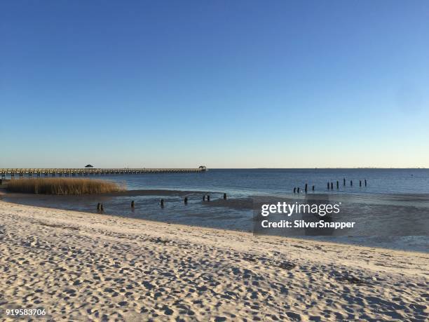 beach, ocean springs, mississippi, america, usa - ocean springs stock pictures, royalty-free photos & images