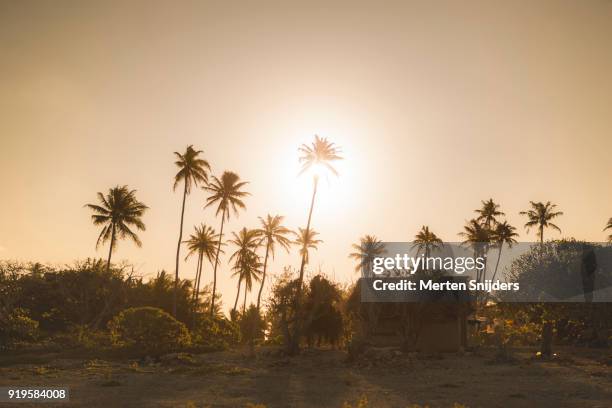 sun directly behind palm tree in polynesian beach hut setting - tuamotu archipelago stock pictures, royalty-free photos & images