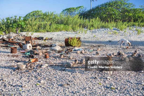 rubble and rusted barrels washed ashore on gravel beach - merten snijders stock-fotos und bilder