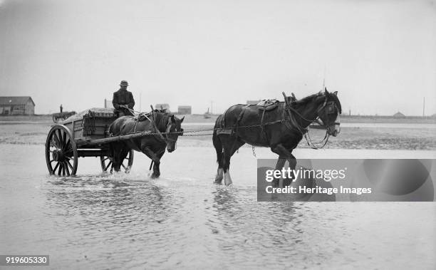 Shoreham harbour, Shoreham-by-Sea, West Sussex, 1905-1925. A horse-drawn ballast cart in the sea.