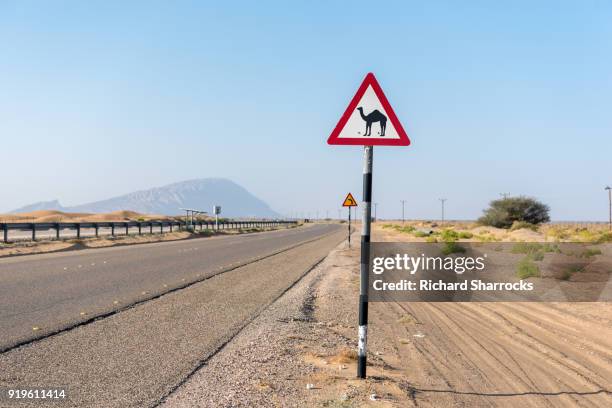 camel crossing warning sign - camel crossing sign stock pictures, royalty-free photos & images