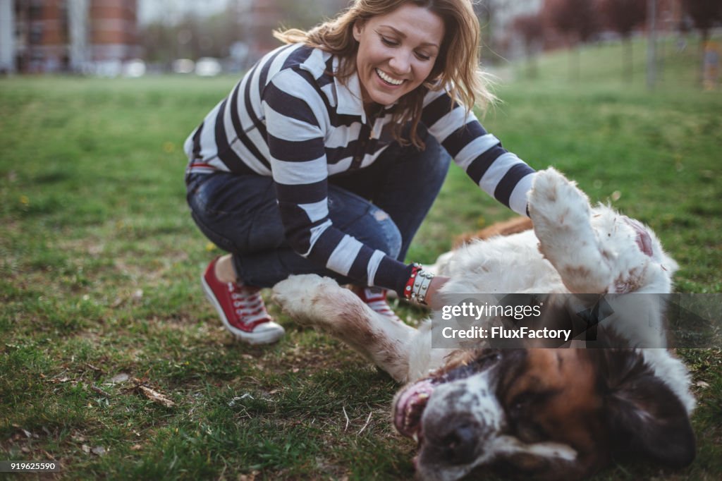 Am glücklichsten Hundebesitzer um