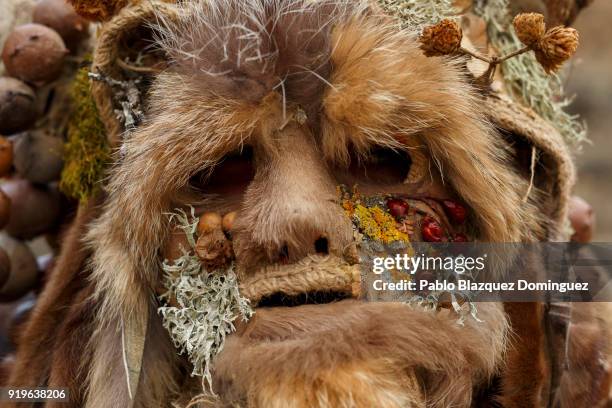 Reveller dressed as 'Harramacho' poses for a portrait during the traditional Navalacruz Carnival on February 17, 2018 in Navalacruz, Spain. The rural...