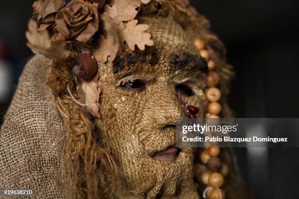 Reveller dressed as 'Harramacho' looks before the traditional Navalacruz Carnival on February 17, 2018 in Navalacruz, Spain. The rural Navalacruz...