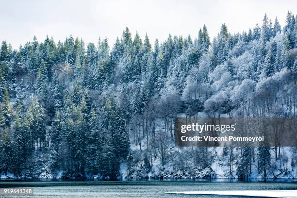 60 Northern Heights Plan Stock Photos, HighRes Pictures, and Images