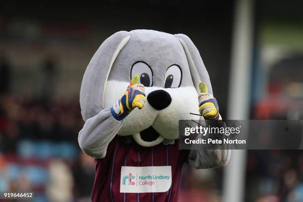 Scunthorpe United mascot Scunny Bunny prior to the Sky Bet League One match between Scunthorpe United and Northampton Town at Glanford Park on...