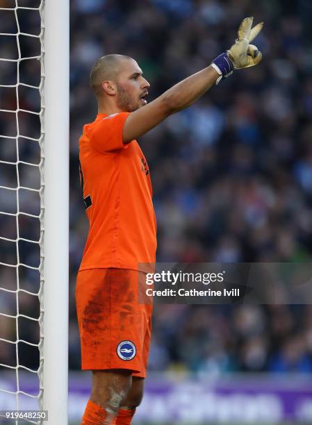 Niki Maenpaa of Brighton and Hove Albion during the Emirates FA Cup Fifth Round match between Brighton and Hove Albion and Coventry City at Amex...