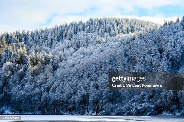 60 Northern Heights Plan Stock Photos, HighRes Pictures, and Images