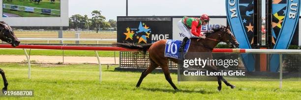 Miss Norway ridden by Daniel Stackhouse wins the Young Signs Morwell Cup Maiden Plate at Moe Racecourse on February 18, 2018 in Moe, Australia.