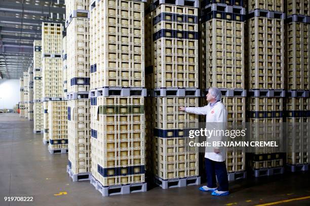 Of 'Garcia Baquero' cheese manufacturer, Miguel Angel Garcia Baquero checks Manchego cheeses in the company's factory of Alcazar de San Juan on...