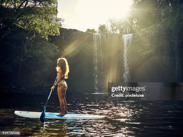 the water is her second home - paddleboarding australia stock pictures, royalty-free photos & images