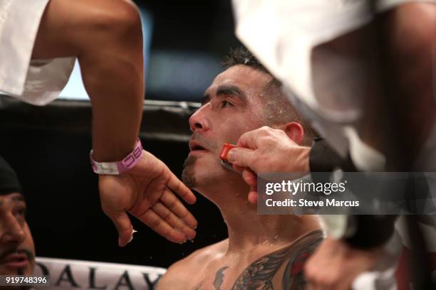 Brandon Rios Fights 23 Brandon Rios V Danny Garcia Stock Photos, High-Res Pictures, and ...