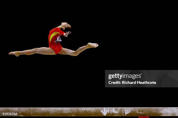 Linlin Deng of China competes in the beam event during the Apparatus Finals on the sixth day of the Artistic Gymnastics World Championships 2009 at...