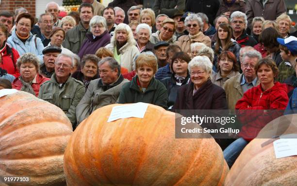Spectators look at giant pumpkins at the Berlin-Brandenburg Pumpkin Contest at the Buschmann and Winkelmann farm on October 18, 2009 in Klaistow,...