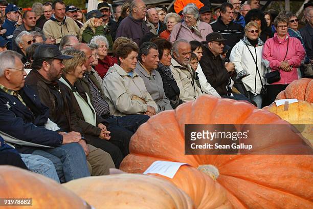 Spectators at the Berlin-Brandenburg Pumpkin Contest sit behind contesting pumpkins at the Buschmann and Winkelmann Asparagus Farm on October 18,...