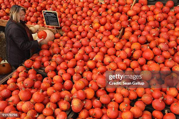 Visitor chooses among Hokkaido pumpkins at the Buschmann and Winkelmann Asparagus Farm on October 18, 2009 in Klaistow, Germany. September and...