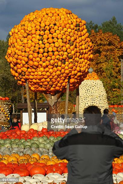 Visitor photographs pumpkins arranged into a decorative landscape at the Buschmann and Winkelmann Asparagus Farm on October 18, 2009 in Klaistow,...