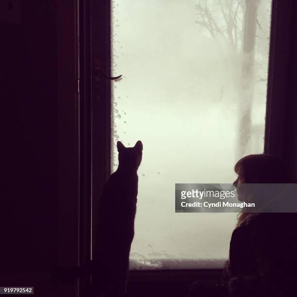 Winter Window with Cat
