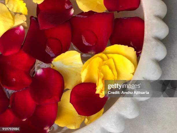 petals in an urn - urn flowers stock pictures, royalty-free photos & images