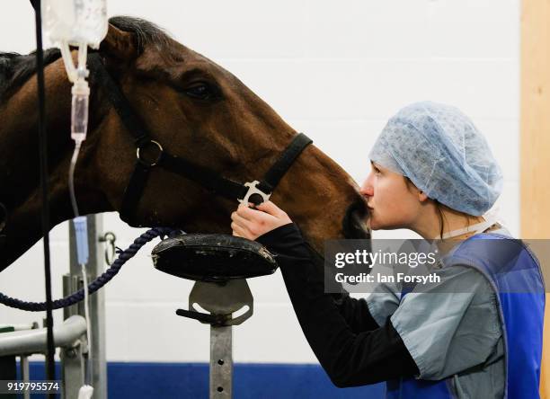 Equine intern Emma Saric monitors and supports a horse suffering from what is known as Kissing Spines, where sections of bone attached to the...