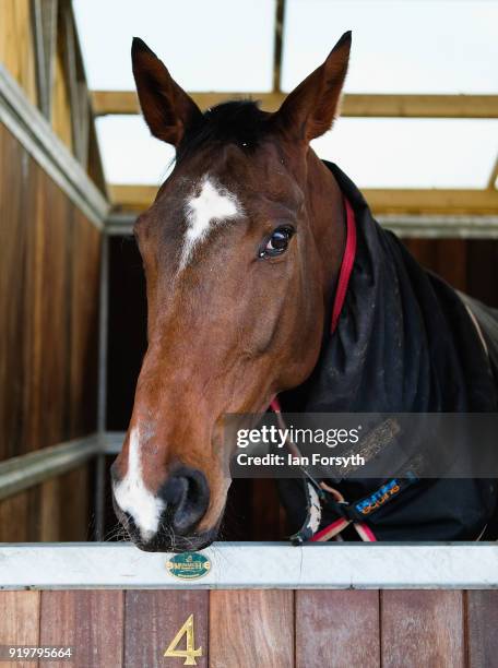 Horse suffering from what is known as Kissing Spines, where sections of bone attached to the vertebrae are too close together and impinge on each...