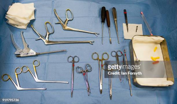 Surgical instruments are laid out ahead of surgery on the leg of a racehorse at the Hambleton Equine Clinic on February 8, 2018 in Stokesley,...