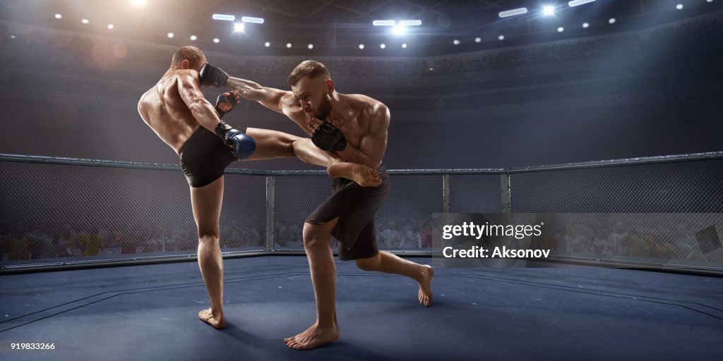 Luchadores de MMA en ring de boxeo profesional