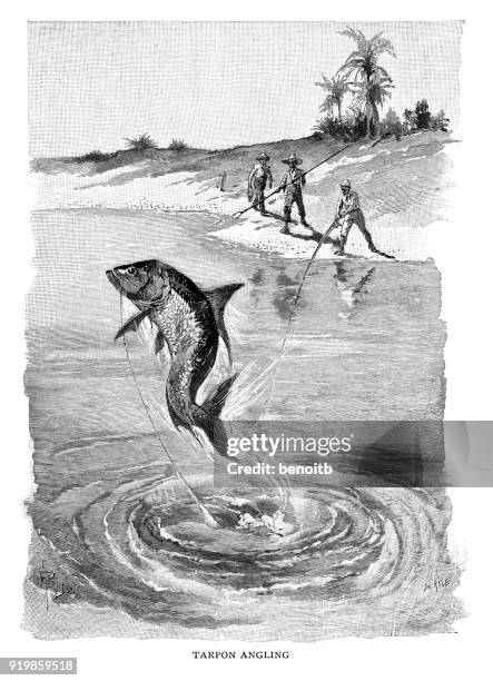 tarpon angling - man spear fishing stock illustrations